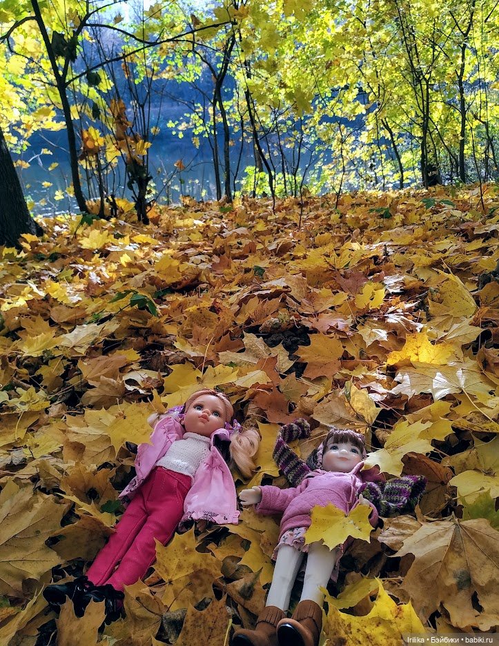 Осень золотая. Дара — Куклы Ruby Red (Руби Ред) Fashion Friends: Siblies (фото 4)