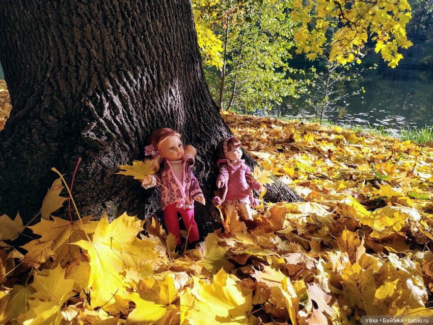 Осень золотая. Дара — Куклы Ruby Red (Руби Ред) Fashion Friends: Siblies (фото 2)