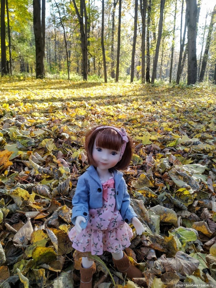 Еще золотая осень. Дара | Бэйбики Еще золотая осень. Дара — Куклы Ruby Red (Руби Ред) Fashion Friends: Siblies