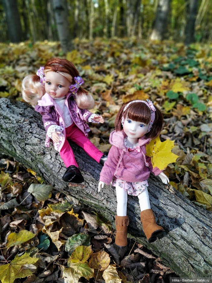 Осень золотая. Дара — Куклы Ruby Red (Руби Ред) Fashion Friends: Siblies