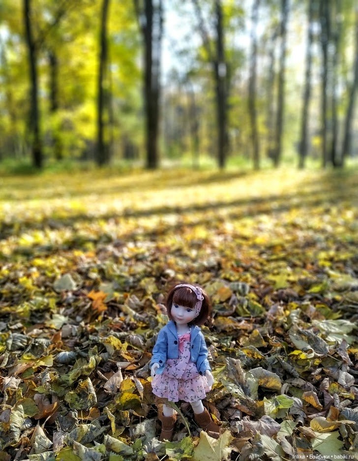 Еще золотая осень. Дара | Бэйбики Еще золотая осень. Дара — Куклы Ruby Red (Руби Ред) Fashion Friends: Siblies