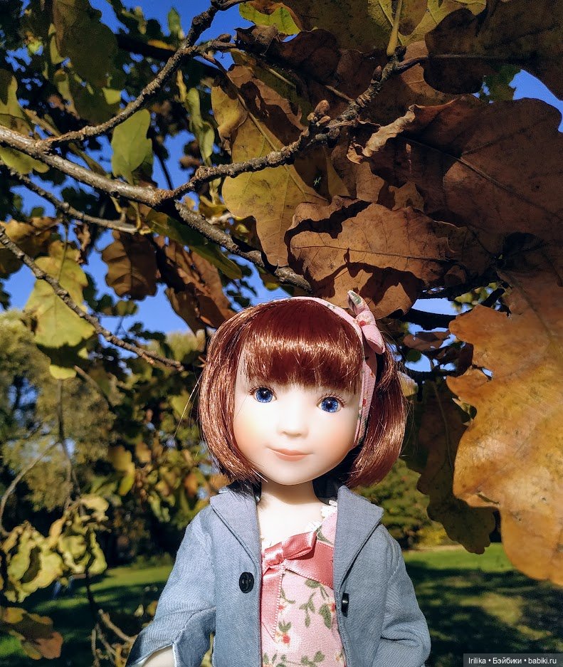 Еще золотая осень. Дара | Бэйбики Еще золотая осень. Дара — Куклы Ruby Red (Руби Ред) Fashion Friends: Siblies