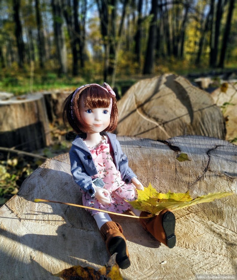 Еще золотая осень. Дара | Бэйбики Еще золотая осень. Дара — Куклы Ruby Red (Руби Ред) Fashion Friends: Siblies