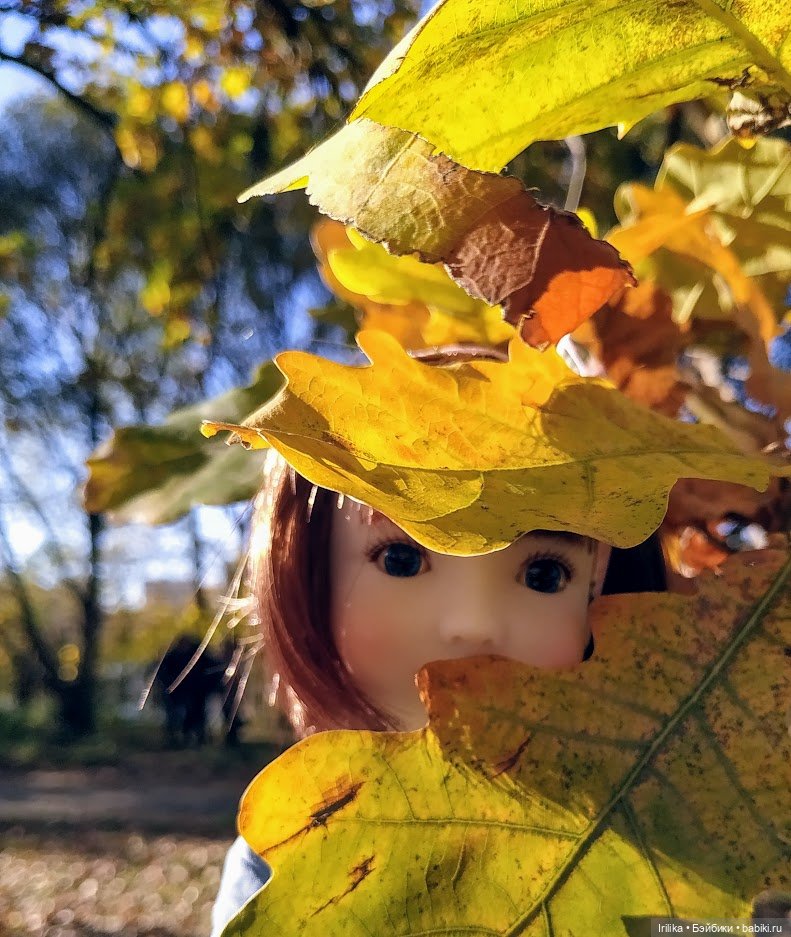 Еще золотая осень. Дара | Бэйбики Еще золотая осень. Дара — Куклы Ruby Red (Руби Ред) Fashion Friends: Siblies