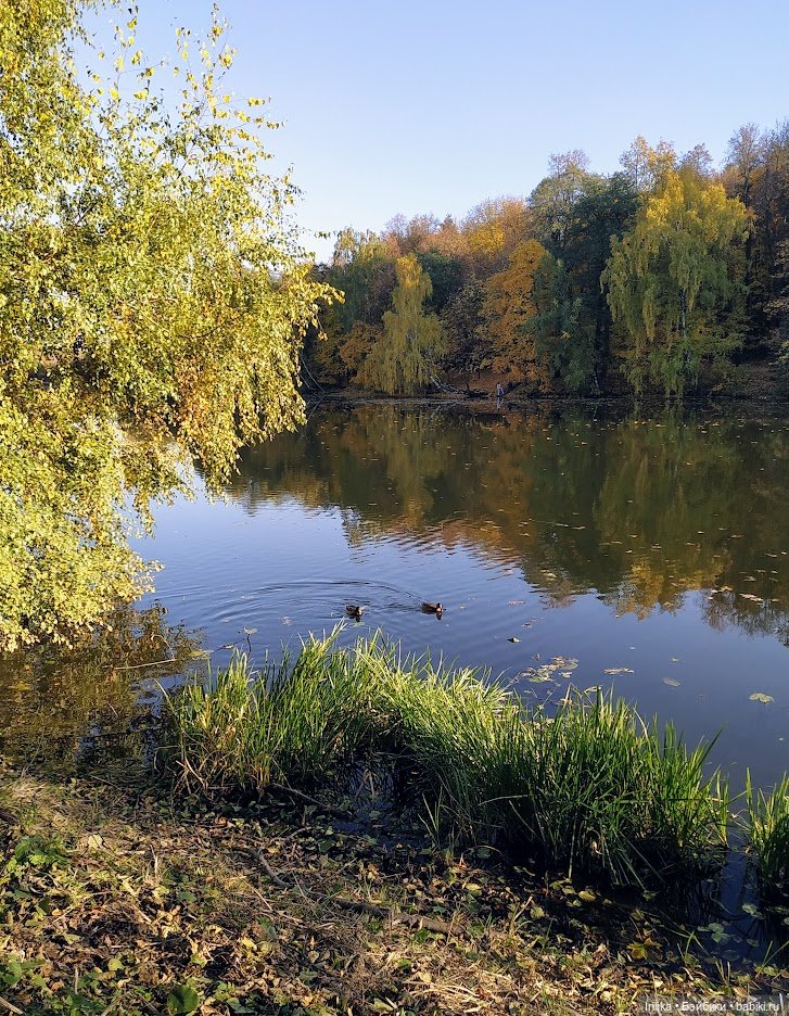 Осень золотая. Дара — Куклы Ruby Red (Руби Ред) Fashion Friends: Siblies