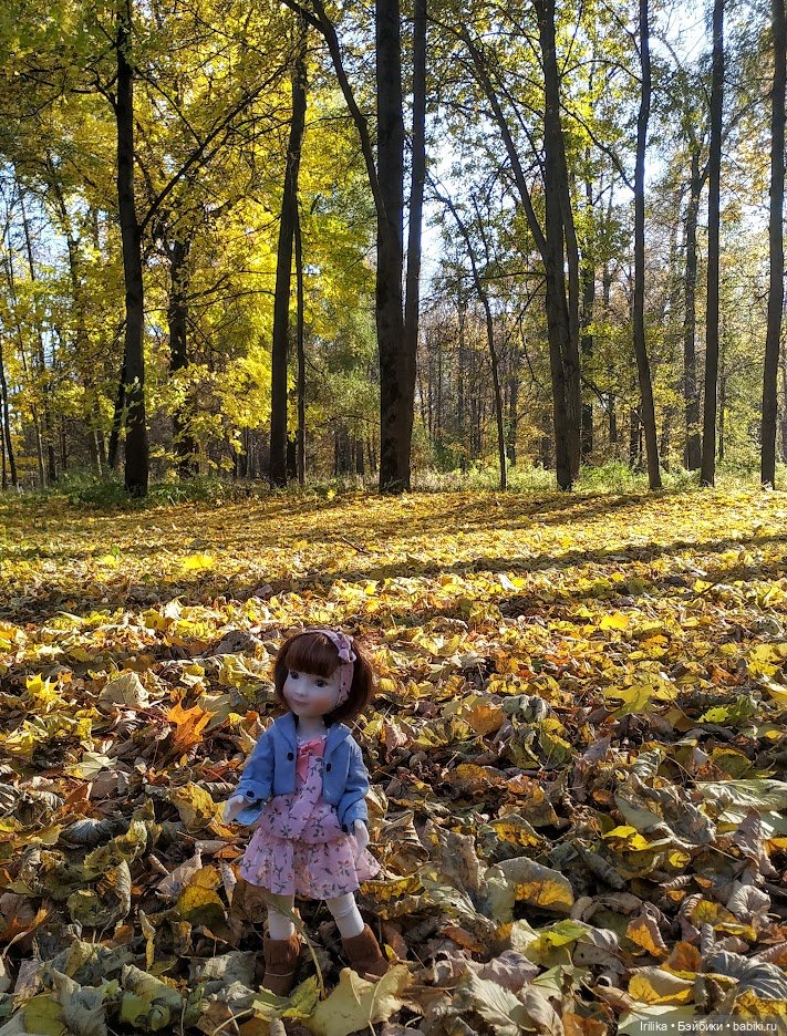 Еще золотая осень. Дара | Бэйбики Еще золотая осень. Дара — Куклы Ruby Red (Руби Ред) Fashion Friends: Siblies