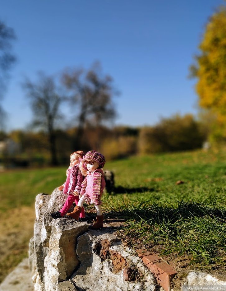 Осень золотая. Дара — Куклы Ruby Red (Руби Ред) Fashion Friends: Siblies (фото 9)