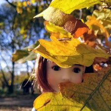 Еще золотая осень. Дара