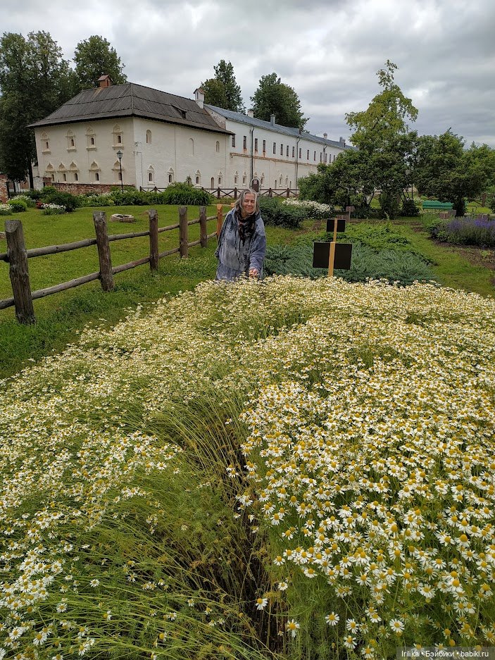 Суздаль —город мечта — Туризм и путешествия: фотоотчеты из поездок