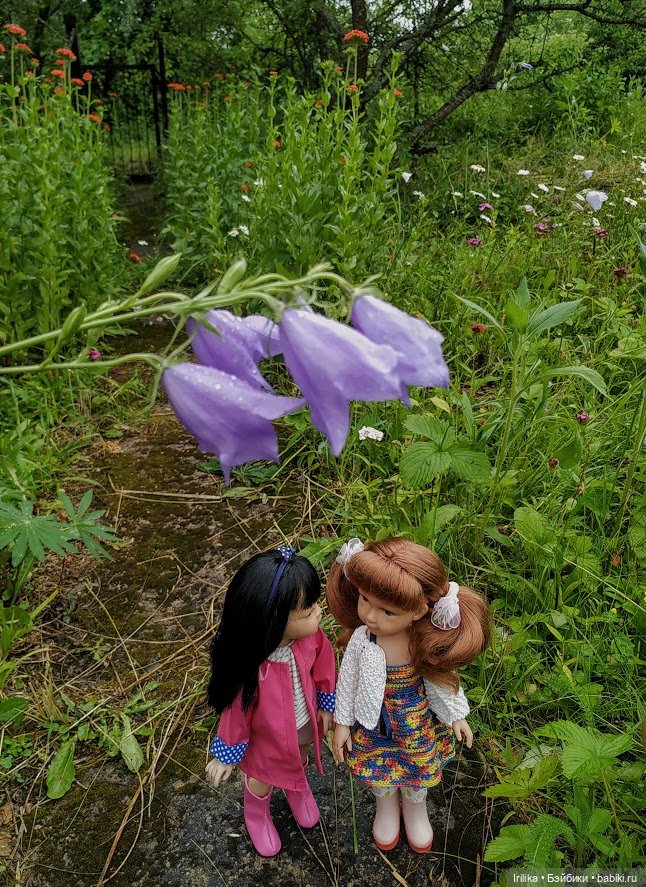 У моей Гюль юбилей — Куклы Paola Reina (Паола Рейна): новинки