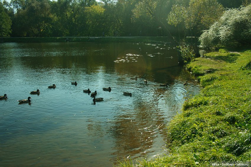 Хорошая девочка Лида и ее подруги