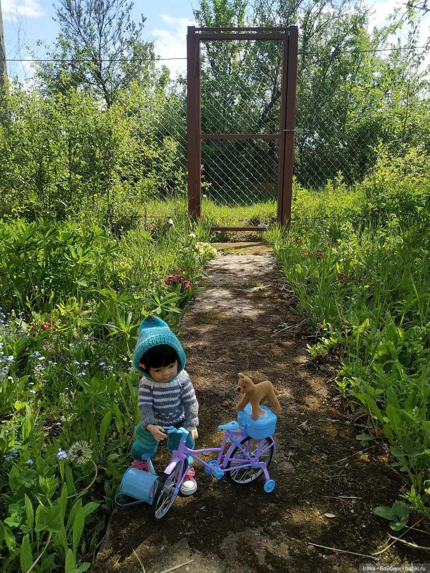 Дачный сезон у Гюль открыт (фото 9)