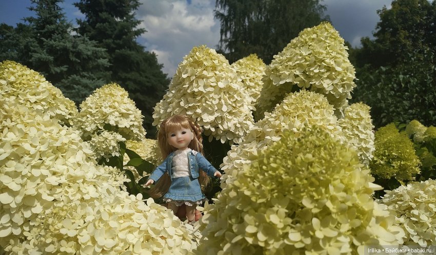 Мини Сара или моя Салли — Куклы Ruby Red (Руби Ред) Fashion Friends: Siblies