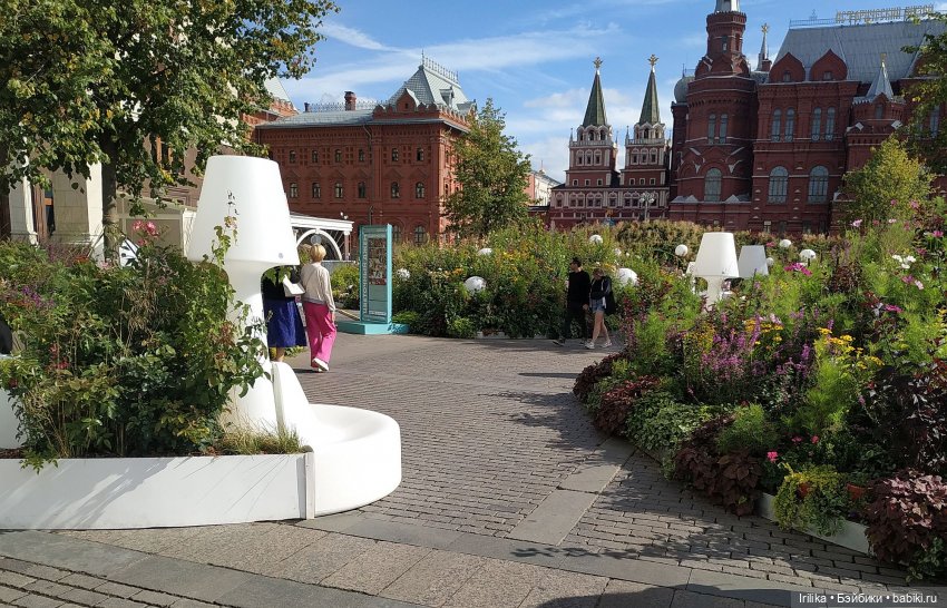 Жанетт гуляет среди цветов (фото 3)