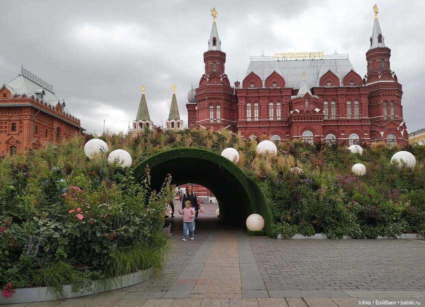 Жанетт гуляет среди цветов (фото 2)
