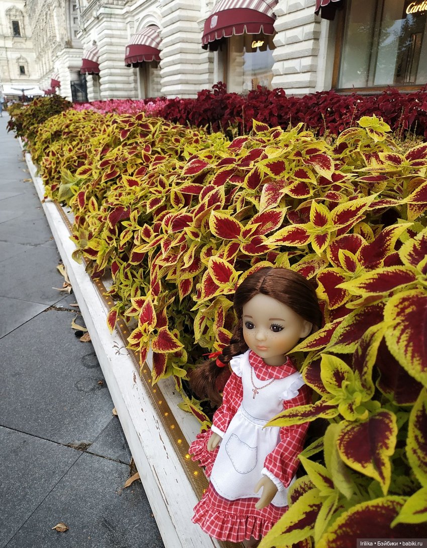 Жанетт гуляет среди цветов