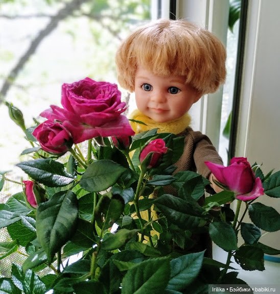 Сколько у меня мальчишек паолок | Бэйбики Сколько у меня мальчишек паолок (фото 5)