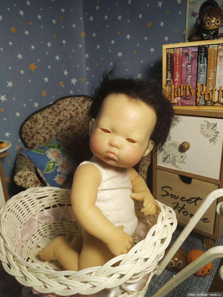 Малыши Бао и Оливия тоже приехали в 2023 году (фото 9)