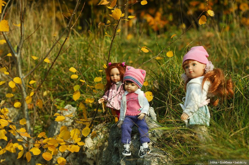 Золото листьев или наша прогулка