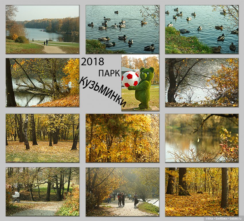 Золото листьев или наша прогулка