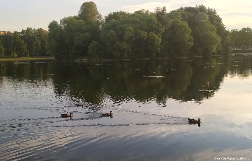 Мальва в парке Дружбы — Куклы Паола Рейна