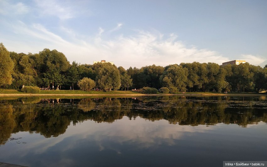 Мальва в парке Дружбы — Куклы Паола Рейна (фото 8)