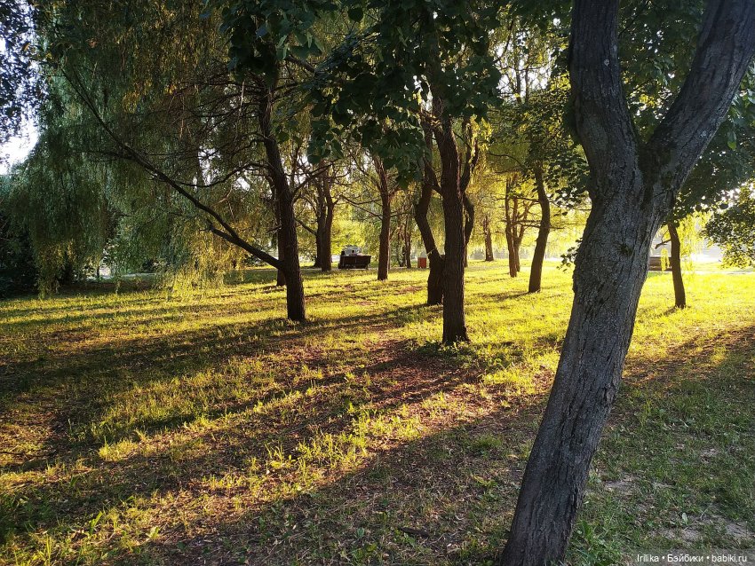 Мальва в парке Дружбы — Куклы Паола Рейна (фото 9)