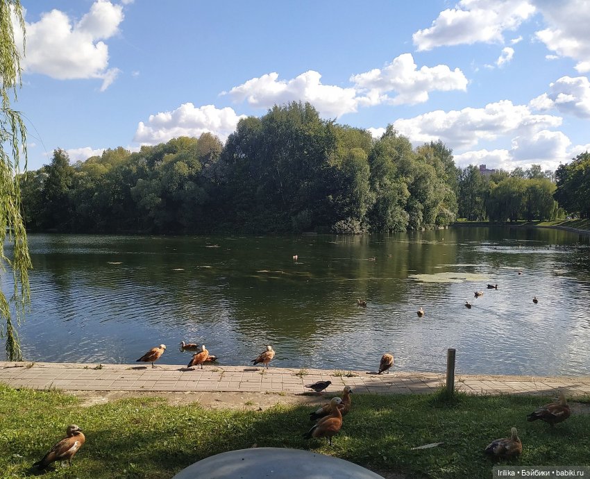 Моя нифма паолка — Куклы Паола Рейна