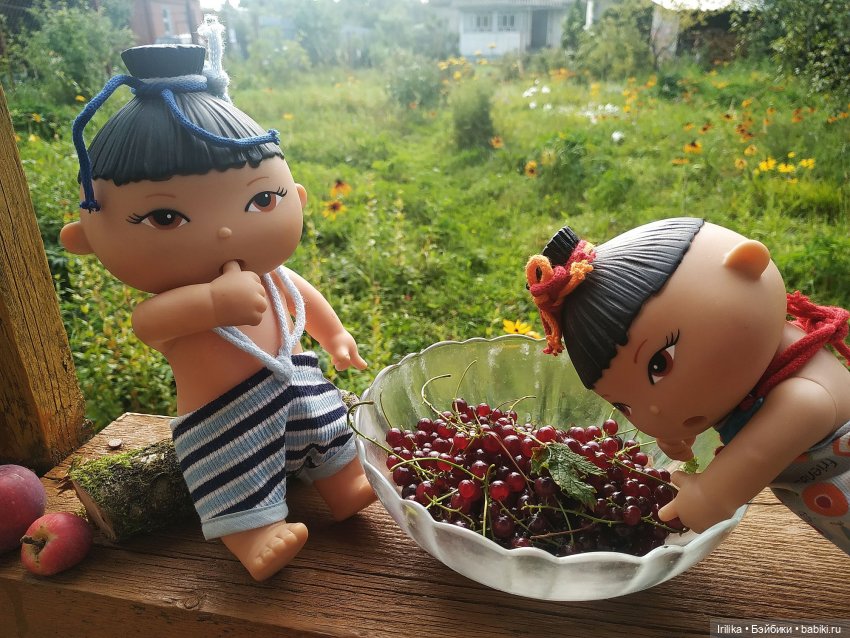 Мои малыши азиаты из серии Los bebes de Paola