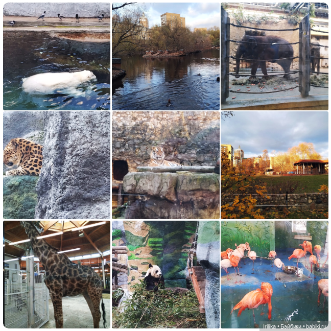 У Гюль новое платье! Ей завидую я! :))