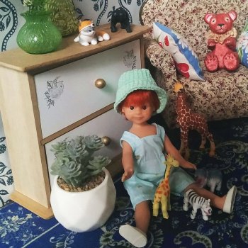 Давид, моя новая мини паолка