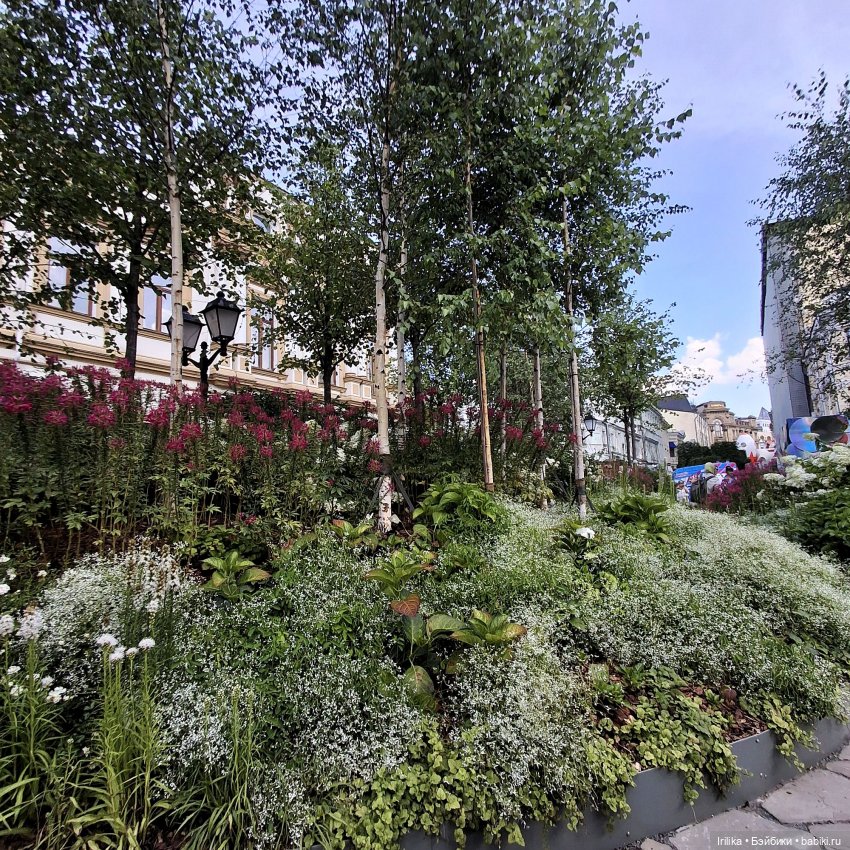 Нелли Asi на Кузнецком мосту (фото 2)