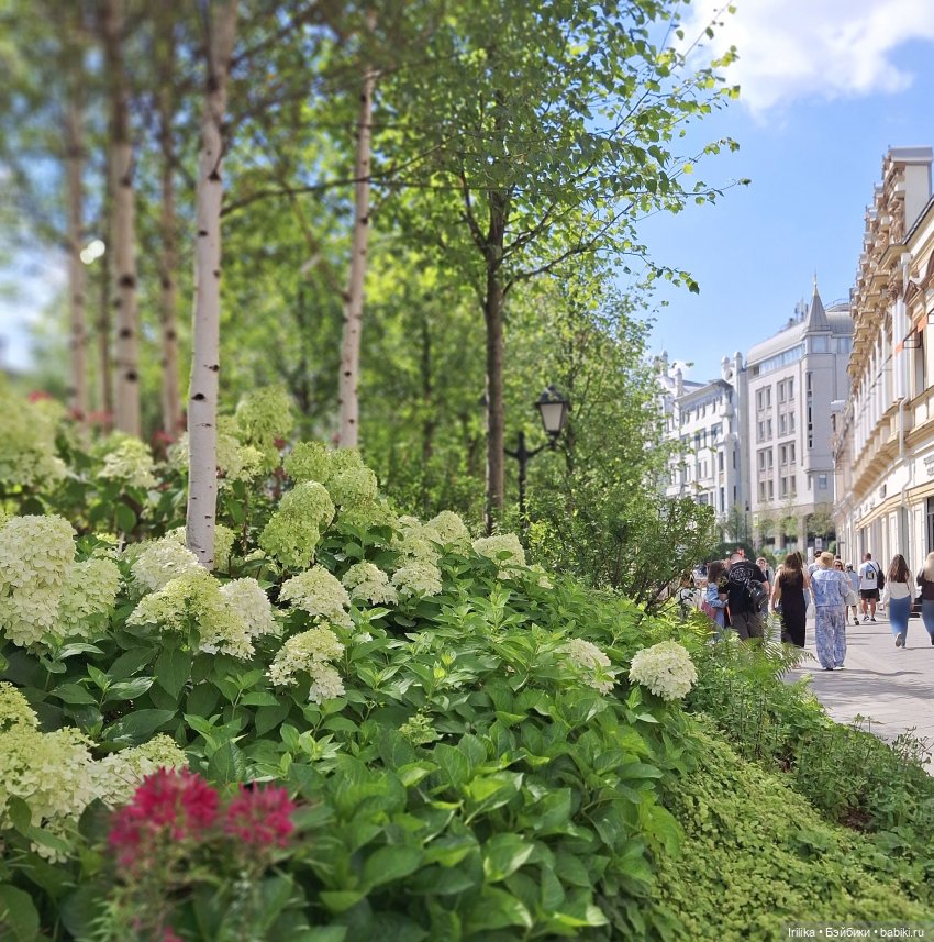 Нелли Asi на Кузнецком мосту (фото 6)