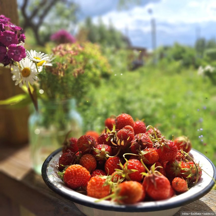 Моя разная кукольная мелочь на даче