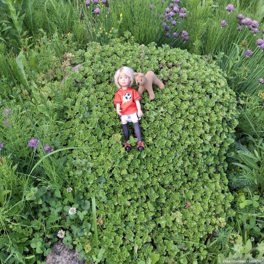 Моя разная кукольная мелочь на даче (фото 9)