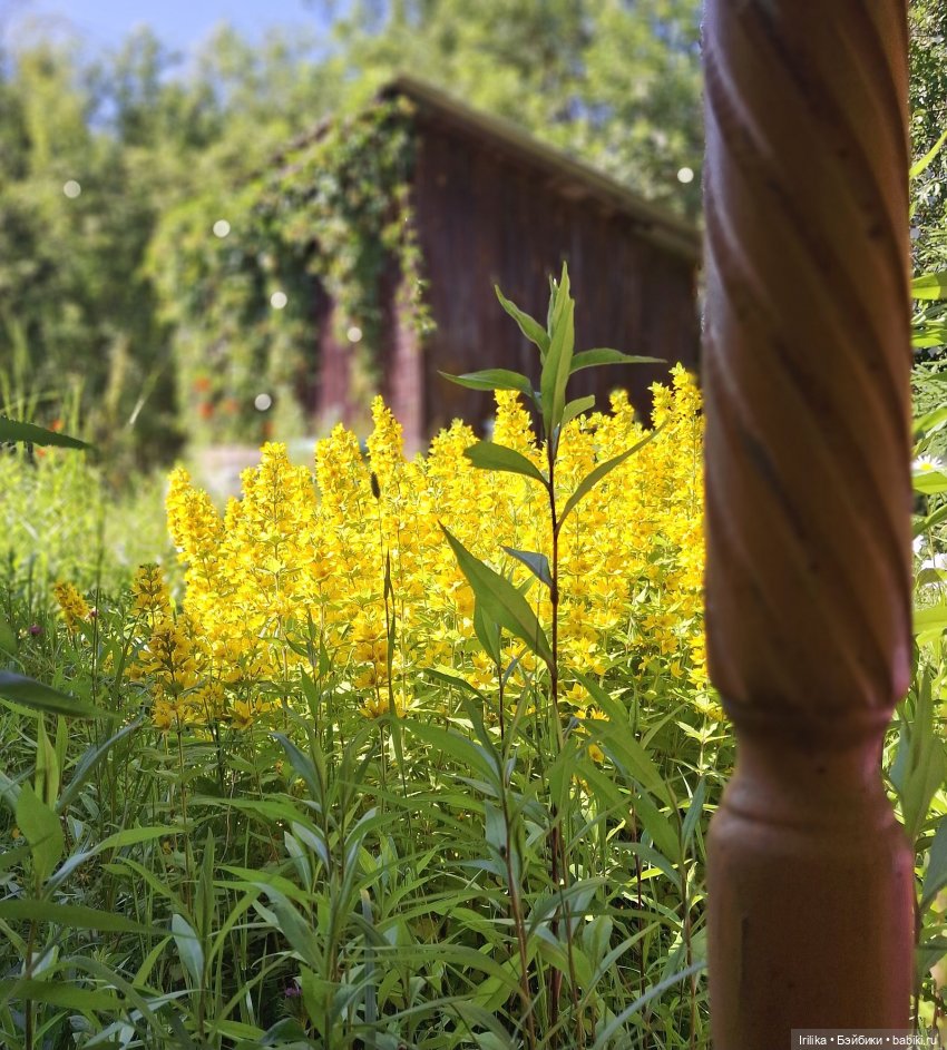 Моя разная кукольная мелочь на даче