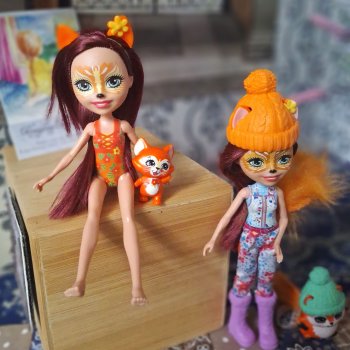 Мои лисички