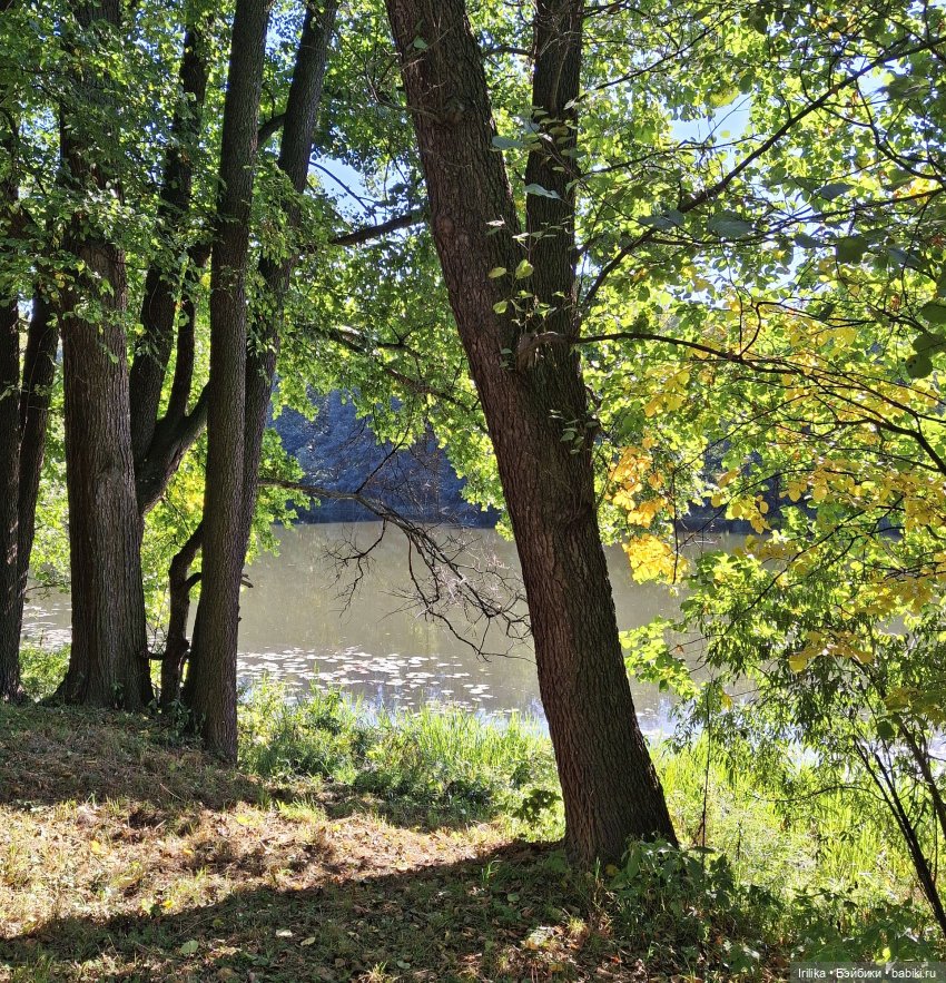 Ани с мишкой, кукла Сой Ту или третий топик про мою коллекцию (фото 9)