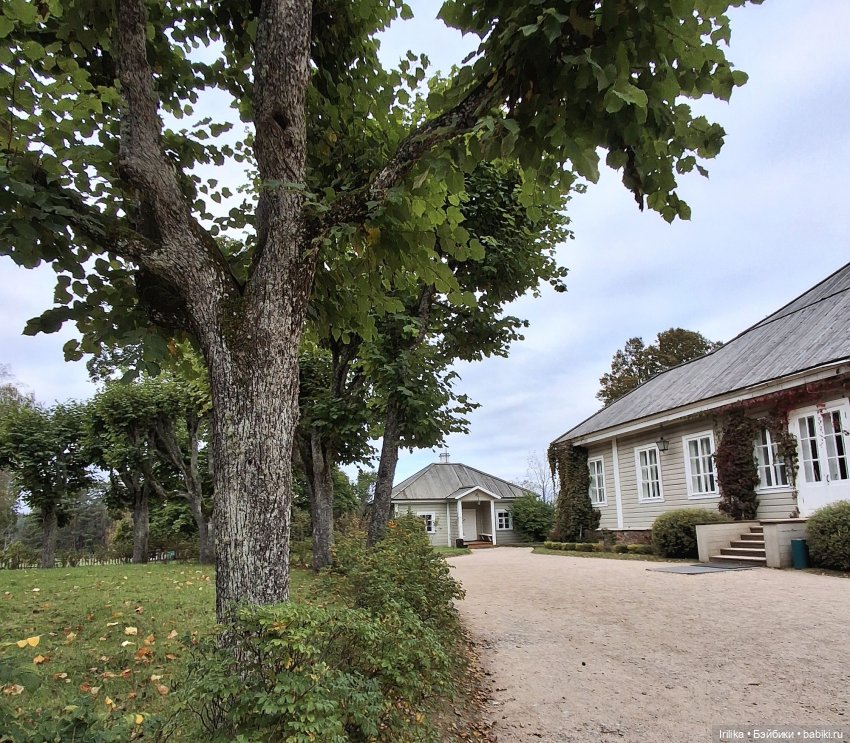 Шурик в Пушкинских Горах — Куклы Paola Reina (Паола Рейна): новинки