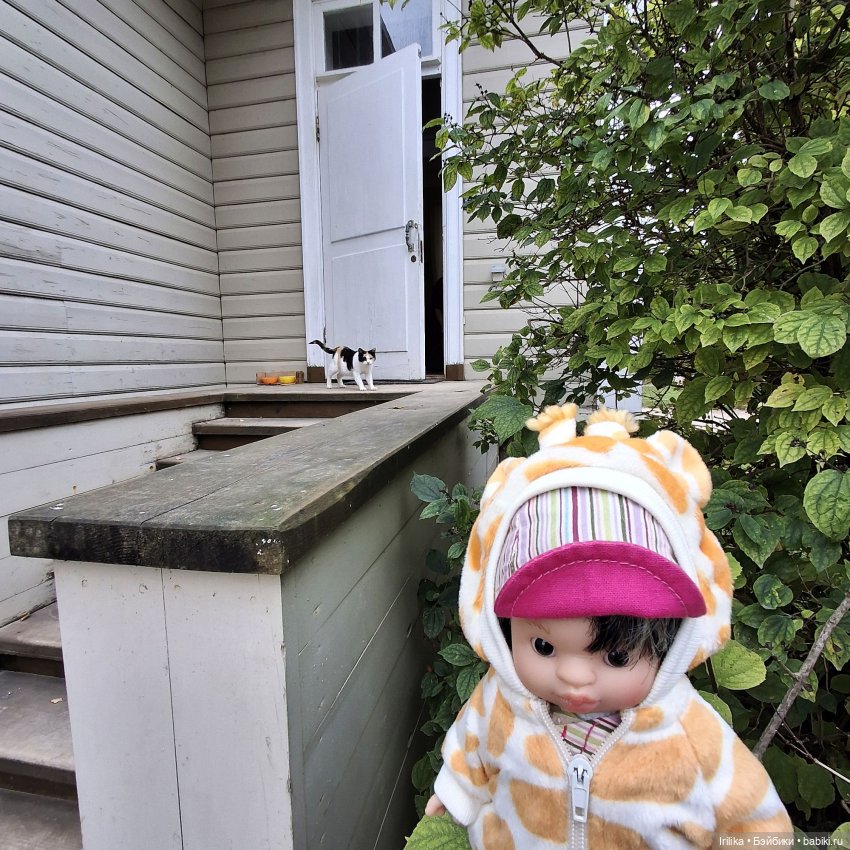 Шурик в Пушкинских Горах — Куклы Paola Reina (Паола Рейна): новинки (фото 8)