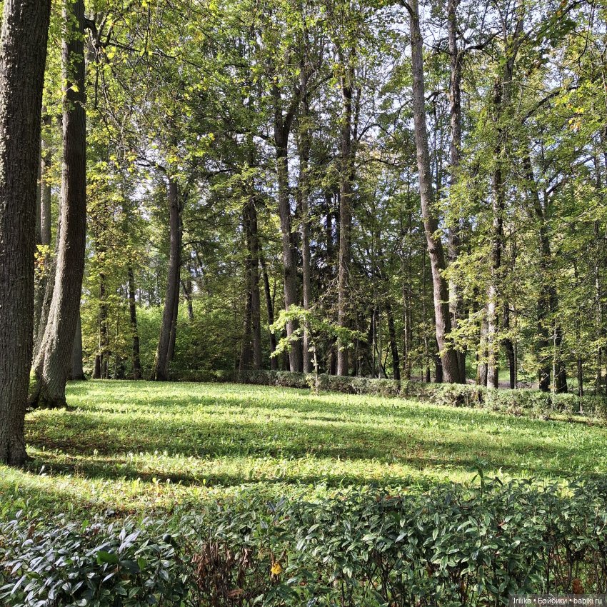 Шурик в Пушкинских Горах — Куклы Paola Reina (Паола Рейна): новинки