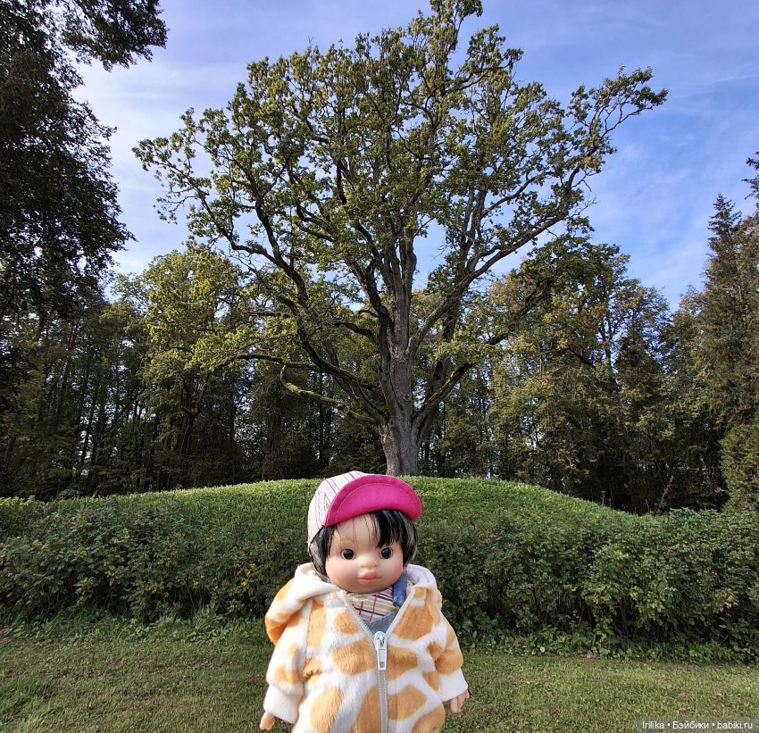 Шурик в Пушкинских Горах — Куклы Paola Reina (Паола Рейна): новинки