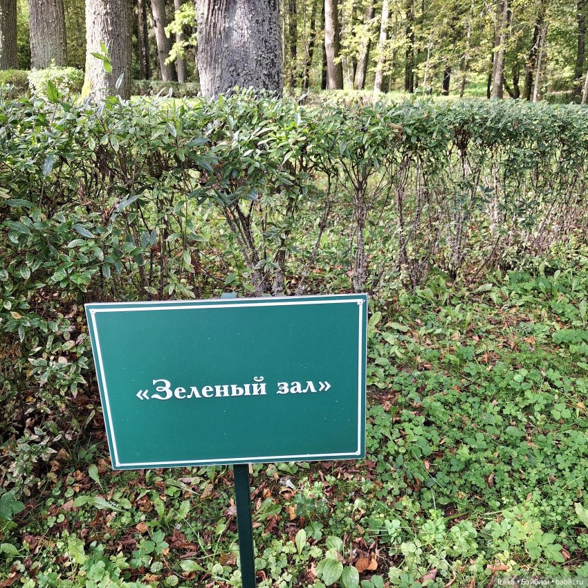 Шурик в Пушкинских Горах — Куклы Paola Reina (Паола Рейна): новинки