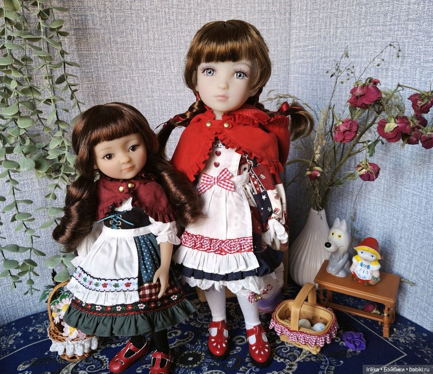 Красная Шапочка (сиблис Рози) (фото 9)