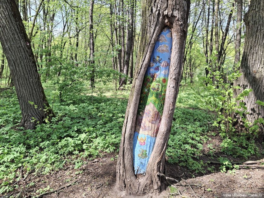 Кончита, новая паолка — Куклы Паола Рейна