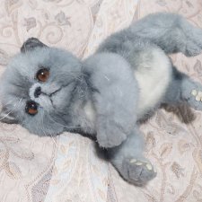Серый котик-тепленький животик