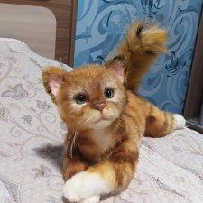 Рыжий, рыжий... полосатый!