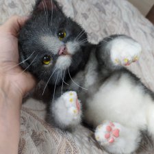 Шустрый малыш