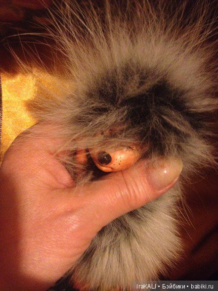 авторские куклы, куклы своими руками, ручная работа, куклы в подарок, куклы IraKALI авторские куклы, куклы своими руками, ручная работа, куклы в подарок, куклы IraKALI