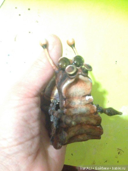 авторские куклы, куклы своими руками, ручная работа, куклы в подарок, куклы IraKALI авторские куклы, куклы своими руками, ручная работа, куклы в подарок, куклы IraKALI